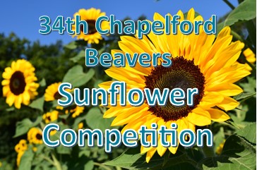 Sunflower Competition